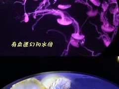 -珠海长隆海洋王国