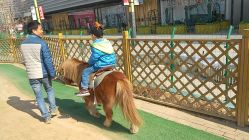 -萌宠亲子动物乐园(槐房万达店)