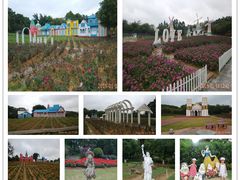 -松山湖南湖湾露营营地