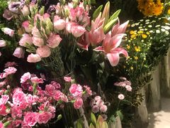 -谷莠子花艺·气球派对·绿植造景·花艺沙龙(金光华广场店)