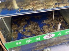 -阳澄湖大闸蟹·琼灵阁牌品牌连锁(吴中总店)