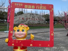 -上海海湾国家森林公园