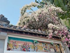 -深圳国际园林花卉博览园