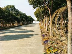 -海上花岛玫瑰园采摘