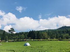 -武陵山森林公园