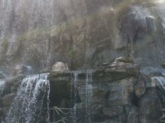 -参仙谷生态旅游度假区