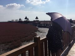 -红海滩国家风景廊道
