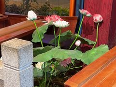 -外婆船宴餐厅·外婆喊你回家吃饭