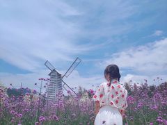 -玫瑰海岸文化旅游度假区