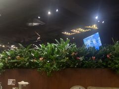 -华阳时光吧餐厅(华阳广场国际大饭店)