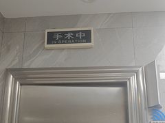 -半岛宠物医院24小时(白果林店)
