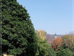-灵谷景区