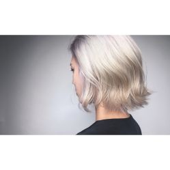 -SALON V