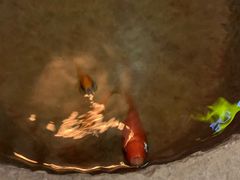 -长勺子东南亚(街道口店)