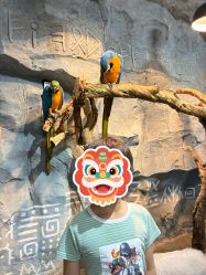 -Zoolung Zoolung动物主题公园(海信广场店)