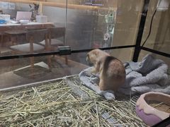 -瑞虹新天地月亮湾