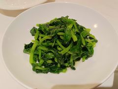 高山豆苗-南麓·浙里(外滩店)