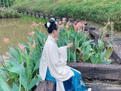 -蔡家宅