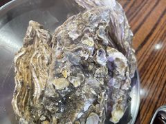 -蚝堡海鲜·威海菜·海肠捞饭·烧烤·亚洲吃蚝公司(幸福门店)