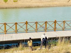 -野鸭湖国家湿地公园
