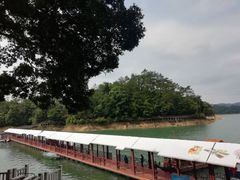 -广州市流溪河国家森林公园