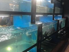 水产区-好灶头妈妈菜·柴火灶台鱼·千岛湖土菜地标美食