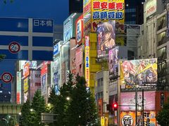 -Animate(秋叶原本馆)