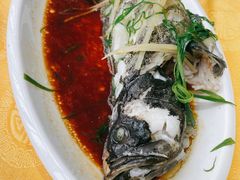 石斑鱼清蒸-八方海味餐厅