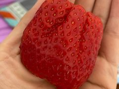 -豫见湘土情(工人路店)