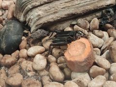 -上海昆虫博物馆