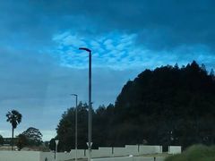 -怀托摩萤火虫洞