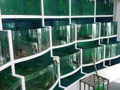 -黄记大闸蟹专卖店·活蟹·醉蟹