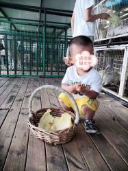 -小蜜蜂农场(凯德七宝购物广场店)