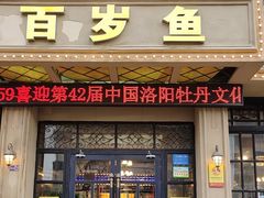-百岁鱼(七一路店)