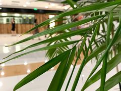 -COSTA COFFEE(新奥购物中心店)