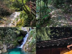 -杨家堂村