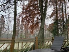 -上海海湾国家森林公园