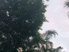 -麦当劳(怡景店)