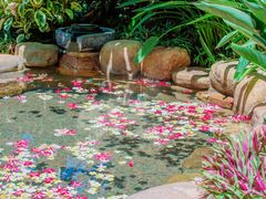 -厦门日月谷温泉渡假村