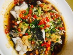 -全乐鱼馆·淳牌有机鱼直营店