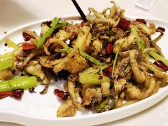 -京皇十二道天津菜(蒲黄榆店)