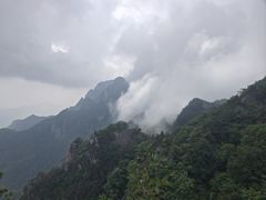 -王顺山国家森林公园