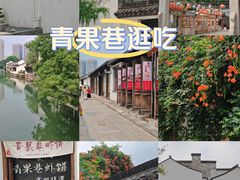 -青果巷历史文化街区