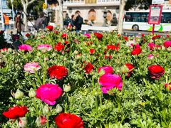 -静安公园(静安寺街道)