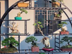 -揭阳学宫(榕城区)