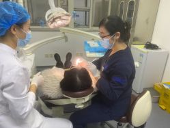 -天津伊美尔医疗整形美容专科医院