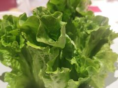 -九鼎轩脆毛肚火锅(三钢里店)