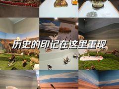 -河北博物院