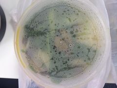 iphone_upload_pic-泰煌鸡·上海白斩鸡·鸡汤面(万航店)