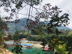 -广州市流溪河国家森林公园